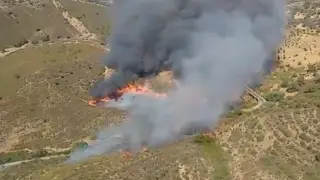 Evacuadas 40 personas por un incendio forestal en El Madroño (Sevilla).