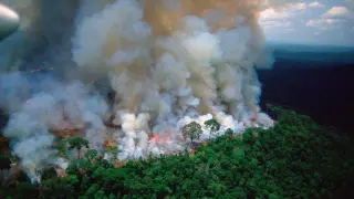 El centro de investigación espacial de Brasil, dijo que desde el jueves las imágenes satelitales detectaron 9.507 incendios forestales, principalmente en la cuenca del Amazonas.