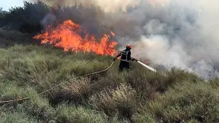 El incendio se ha producido junto a la carretera N-II, en Peñalba.