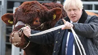 Boris Johnson durante su visita a una granja de Escocia