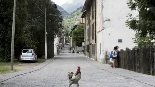 Una gallina cruza la calle en Canfranc pueblo