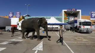 El elefante 'Dumba' ya está instalado en el aparcamiento exterior de Plaza Imperial.