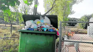 El contenedor del albergue de Utrillas, lleno de bolsas de basura.