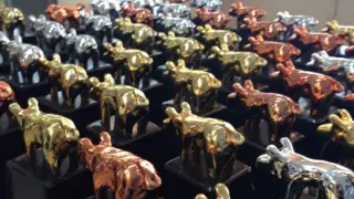 Estatuillas de oro, plata y bronce con las que los Porc d'Or reconocen a los premiados