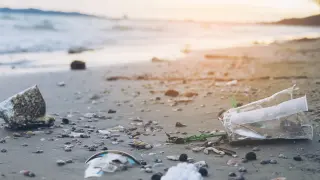 Contaminación de playas, ríos y mares