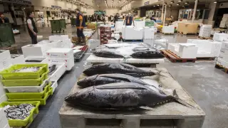 La venta de pescado en Mercazaragoza ha caído en los diez últimos años.