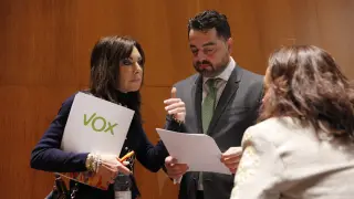 Los diputados de Vox, este miércoles en las Cortes de Aragón