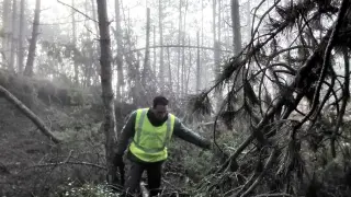 Uno de los guardias civiles rastrea el pinar donde desapareció el hombre.