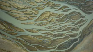 La confluencia de las corrientes hacia un único punto de desagüe distribuye el agua sobre la superficie limosa. Esta imagen de Veta la Palma, en el Espacio Natural de Doñana, muestra las formas de red dendrítica, que recuerdan las sinapsis neuronales.