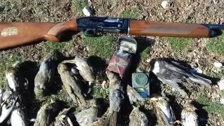 El reclamo electrónico que utilizaba el cazador junto al rifle y algunas de las aves abatidas