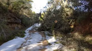 Los destrozos afectan a 30 kilómetros de la vía verde que atraviesa el Matarraña.
