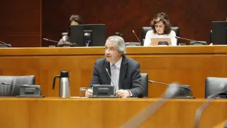 Félix Gracia en su comparecencia en la Comisión de Sanidad de las Cortes.