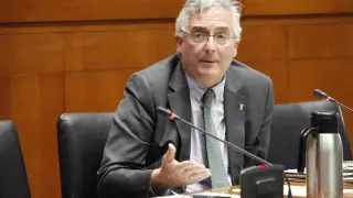 El consejero de Agricultura, Joaquín Olona, ayer en la comisión de las Cortes