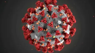 Renderización por ordenador de un virión del COVID-19, el coronavirus de Wuhan. CDC