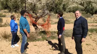 Dirigentes del PP visitan un campo para comprobar los daños en cultivos del Bajo Aragón causados por la fauna salvaje.