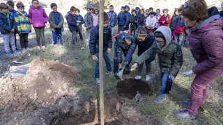 Alumnos de Primaria del colegio ensanche de teruel plantan un Olmo sin graciosis en la cuesta cofiero. Foto Antonio Garcia/bykofoto. 26/02/20 [[[FOTOGRAFOS]]]