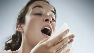 Estornudamos para deshacernos de cualquier cosa irritante potencialmente dañina, virus y bacterias incluidos
