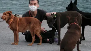A man wears a protective face mask sitting next to his dogs, following the outbreak of the new coronavirus, in Hong Kong