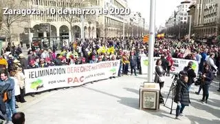 Los agricultores se han manifestado este martes en Zaragoza para protestar por los precios injustos, por sus cosechas devaluadas, por la defensa del modelo de explotación familiar y para reivindicar más inversión del Gobierno de España.