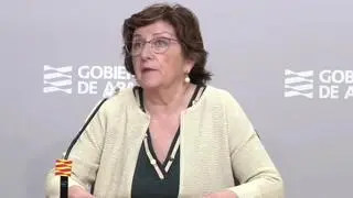 La consejera de Servicios Sociales del Gobierno de Aragón, María Victoria Broto, ha explicado la evolución del coronavirus en la comunidad aragonesa.