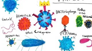 Los 'viruses' del zaragozano Álvaro Quílez, de 8 años.
