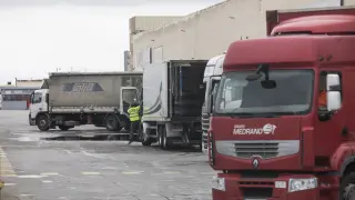 Camiones cargados en los muelles de la plataforma de Auchan Retail en Villanueva de Gállego.