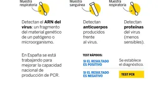 Diferencia entre el PCR y el test rápido para detectar el coronavirus