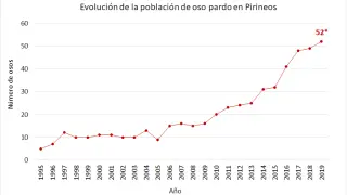 Curva de evolución de la población de osos en las últimas décadas.