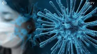 Insuficiencia respiratoria, fiebre, malestar... son algunos de los síntomas del coronavirus. Pero, ¿cómo mata la enfermedad? Estos son los órganos a los que afecta y sus efectos en el organismo.