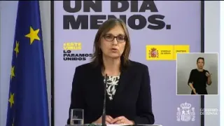 La directora del Centro Nacional de Epidemiología, Marina Pollán