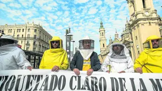 Protesta de apicultores en la Palza del Pilar por el mal etiquetado de la miel UAGA / 19-10-2016 / Foto: José Miguel Marco [[[HA ARCHIVO]]]