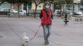 Una voluntaria de Cruz Roja de Huesca pasea el perro de una señora que no podía salir.