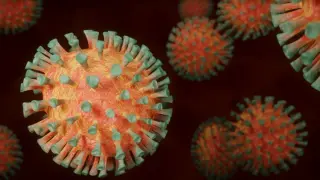 Coronavirus, archivo.
