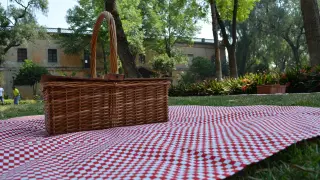 Dulces, embutido, tortilla de patata...¿qué tendrá tu picnic perfecto?