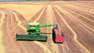 Recolección de cereal en una explotación de la provincia de Huesca.