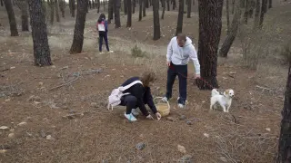 Recolectores de setas en la Sierra de Albarracín.