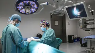 Intervención en el Servicio de Cirugía Experimental del SAI.