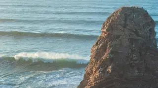 Rocas turbidíticas plegadas siendo erosionadas por el mar. Les Deux Jumelles, en la Corniche Basque.