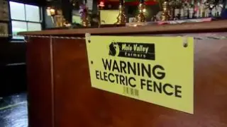 Un pub en Inglaterra coloca una valla electrificada para mantener la distancia de seguridad