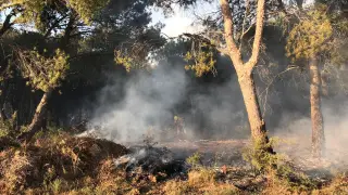 Las cuadrillas sofocaban ayer las llamas en la zona de pinar.