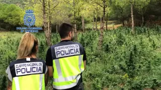 Dos agentes de la Policía Nacional, en la plantación de la Ribagorza.
