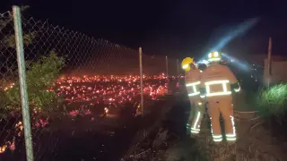Actuación de los bomberos en la finca de Pastriz.