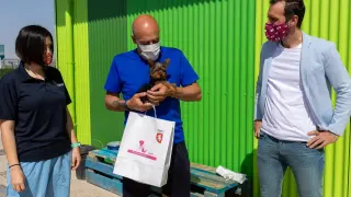 Zaragoza se suma a la iniciativa #cuidayadopta para fomentar la adopción de mascotas