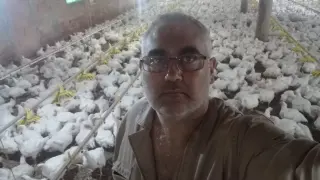 Eloy Ureña, nuevo responsable estatal del sector avícola de COAG.