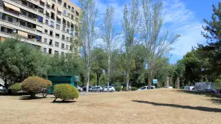 Árboles del parque de Torre Ramona