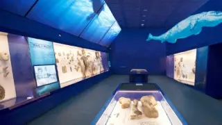 Recreación infográfica de la sala museo incluida en la nueva atracción del Mar Jurásico.