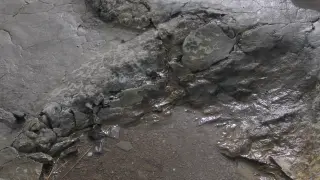 Icnita de la mano de un dinosaurio saurópodo en el yacimiento El Pozo de El Castellar (Teruel).