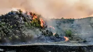 Un incendio en Castiliscar arrasa diez hectáreas entre la zona de pinos y rastrojos
