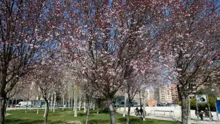 Parque de la Aljafería de Zaragoza