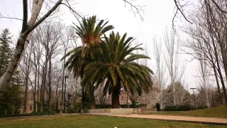 Parque Delicias de Zaragoza